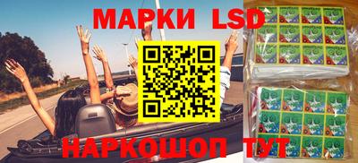 гидропоника Можга