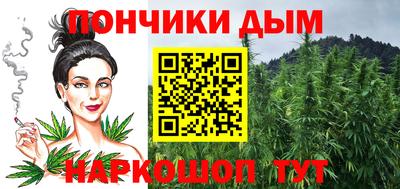 гидропоника Можга