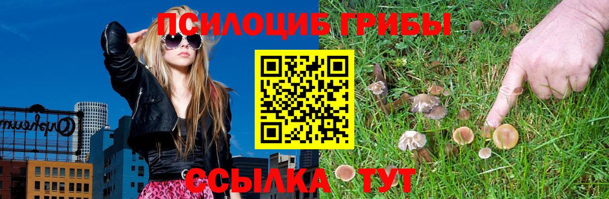 Галлюциногенные грибы прущие грибы  Галлюциногенные грибы ЛСД  цена   Вход с VPN  Старая Купавна 